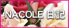 NACOLE�̓�����X�^�b�t���y�����Ԃ��Ă����܂��B