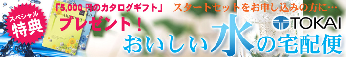 TOKAI �����������̑�z��